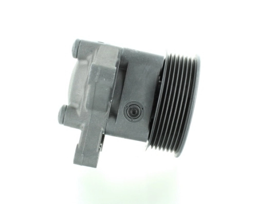 Купити 54888 GKN-Spidan Насос гідравліки