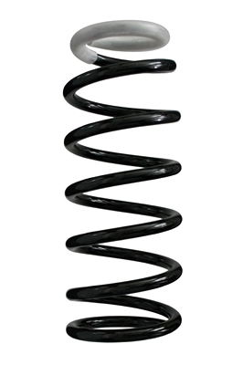 Пружина задня Nissan Almera CLASSIC седан (B10RS) (2006 - 2012) ціна, від 49.25 USD