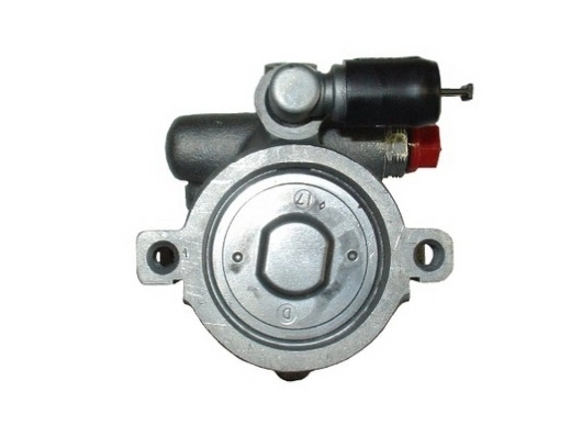 Насос ГУР 863013 Autex