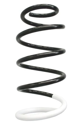 Купити 601092D Maxgear Гвинтова пружина підвіска