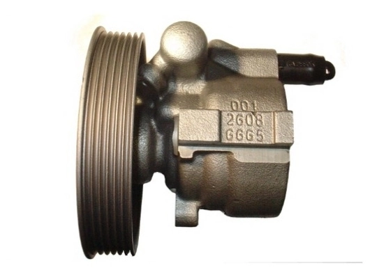 Купити 54172 GKN-Spidan Насос гідравліки