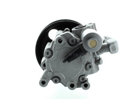 52615 GKN-Spidan Насос гідропідсилювача