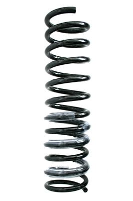 Купити 600940 Maxgear Задні пружини