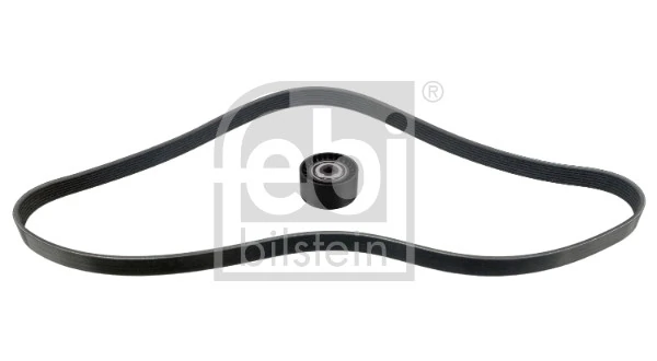 Ремінь приводний, агрегатів, комплект Renault (RVI) 117201947R ціна, від 67.15 USD