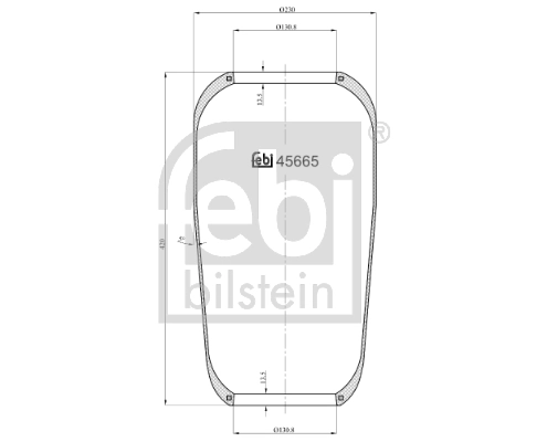 45665 Febi