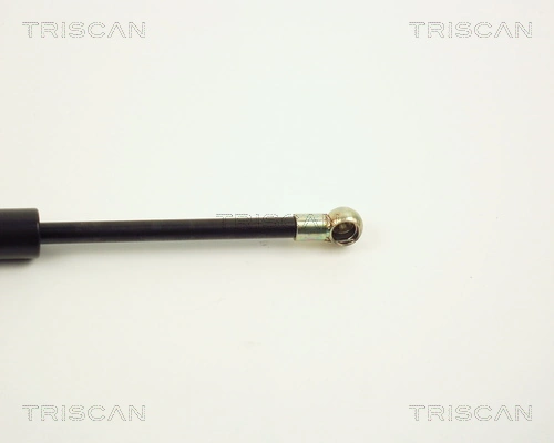 Амортизатор двері задньої Triscan 87101009 ціна, від 8.29 USD
