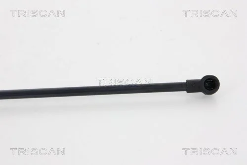 Амортизатор двері задньої Triscan 871028237 ціна, від 9.64 USD