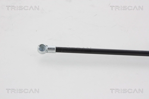 Амортизатор двері задньої Triscan 871025221 ціна, від 10.42 USD
