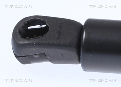 8710292062 Triscan Амортизатор кришки багажника / двері 3/5-ї задньої