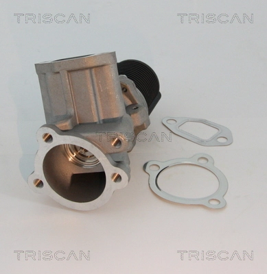 Клапан EGR рециркуляції газів Wahler 710958R