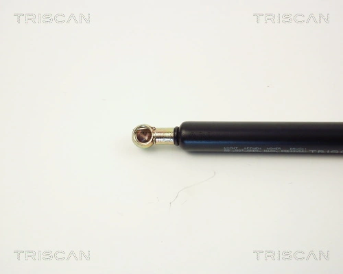 87101009 Triscan Амортизатор кришки багажника / двері 3/5-ї задньої