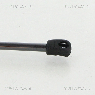 Амортизатор двері задньої Triscan 8710292047 ціна, від 13.26 USD