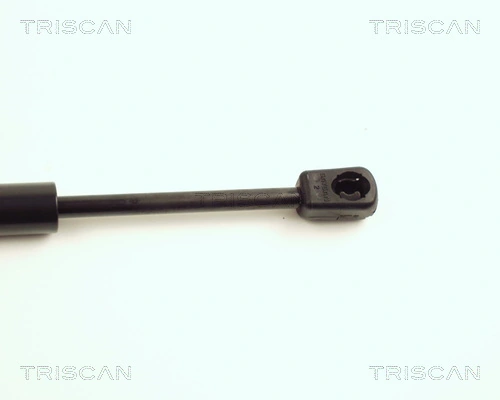Амортизатор капота газовий Triscan 871016104 ціна, від 6.33 USD