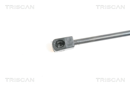 Амортизатор двері задньої Triscan 871050237 ціна, від 10.67 USD