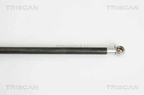 Амортизатор двері задньої Magneti Marelli GS0957 ціна, від 10.41 USD