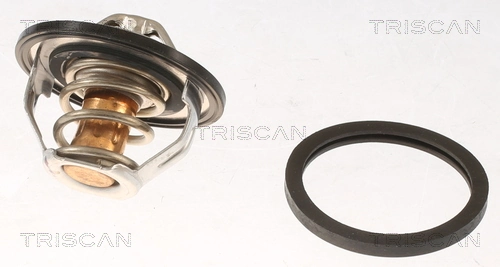 TE0191 Magneti Marelli Авто термостат