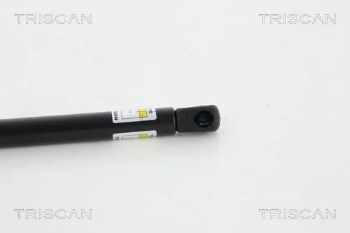 817801F010KGS KGS Амортизатор кришки багажника / двері 3/5-ї задньої