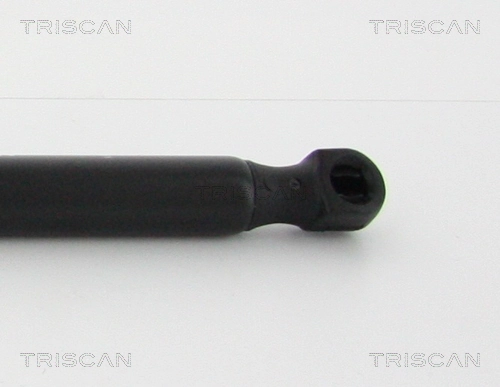 Амортизатор двері задньої Triscan 871013286 ціна, від 10.76 USD