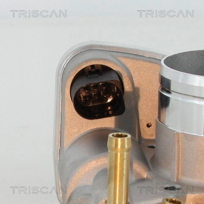 882029006 Triscan Дросільна заслінка в зборі