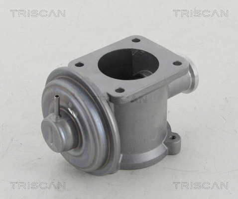 Клапан EGR Triscan 881311003 ціна, від 27.82 USD