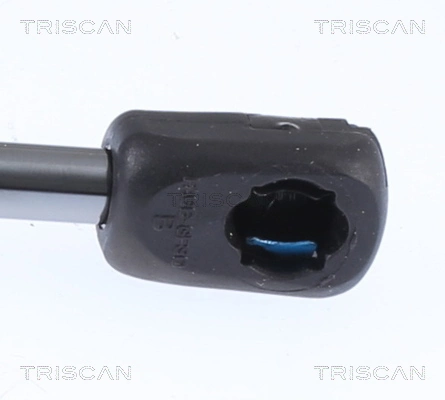 Амортизатор двері задньої Triscan 871023297 ціна, від 6.05 USD