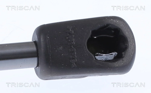 Амортизатор двері задньої Triscan 871018244 ціна, від 18.83 USD