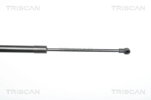 Амортизатор двері задньої Triscan 871029281 ціна, від 5.63 USD