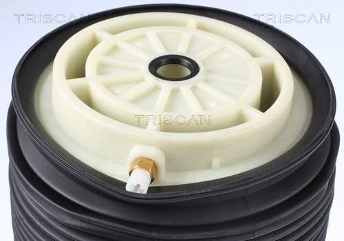 Пневморессора задня Triscan 872023201 ціна, від 146.84 USD