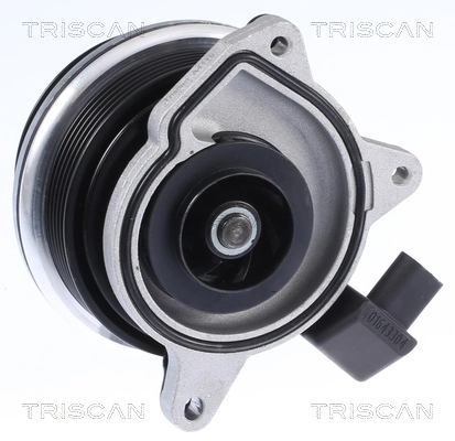 860029062 Triscan Насос охолодження