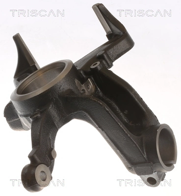 850029707 Triscan Цапфа - поворотний кулак передній, лівий