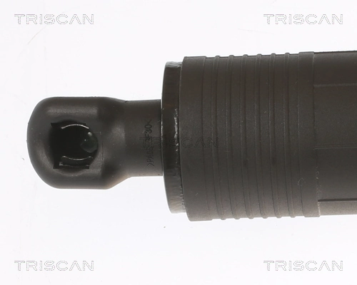 Амортизатор двері задньої Triscan 871029306 ціна, від 96.10 USD