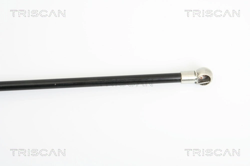 Амортизатор двері задньої Triscan 871025229 ціна, від 9.54 USD