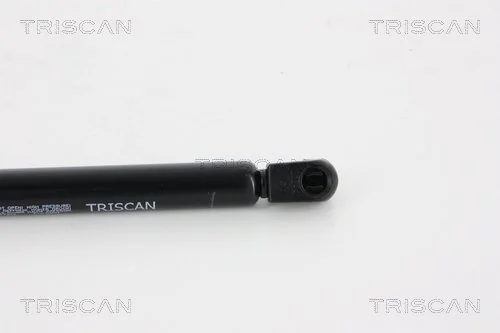 Амортизатор багажника GS0675 Magneti Marelli