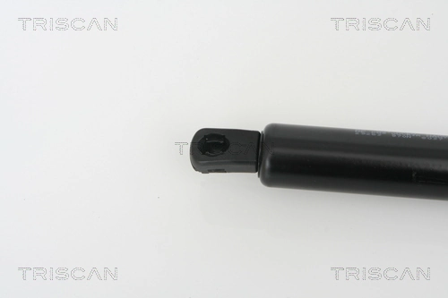 Амортизатор багажника GS603033970 Timmen