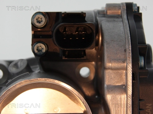 Блок дросельної заслінки Polcar E110029 ціна, від 82.26 USD