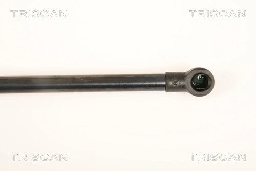 Амортизатор двері задньої Triscan 871028238 ціна, від 12.34 USD