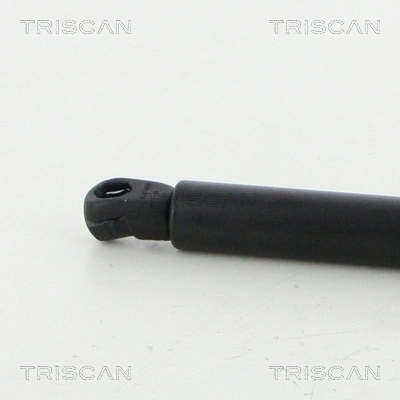 8710292047 Triscan Амортизатор кришки багажника / двері 3/5-ї задньої