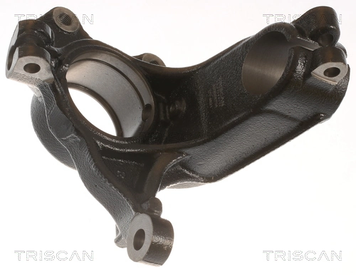 Цапфа передні праві Triscan 850028704 ціна, від 58.74 USD