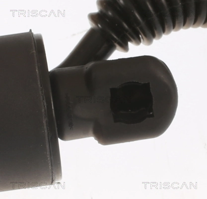 Купити 871029306 Triscan Амортизатор двері багажника