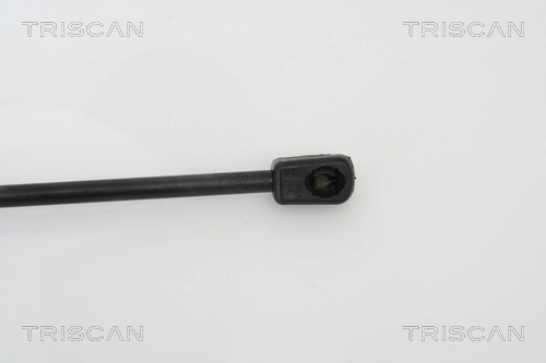 Амортизатор двері задньої Triscan 871024226 ціна, від 8.63 USD