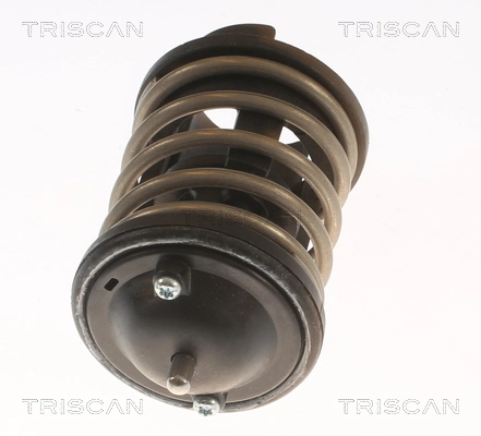 Автомобільний термостат Triscan 862033380 ціна, від 14.69 USD