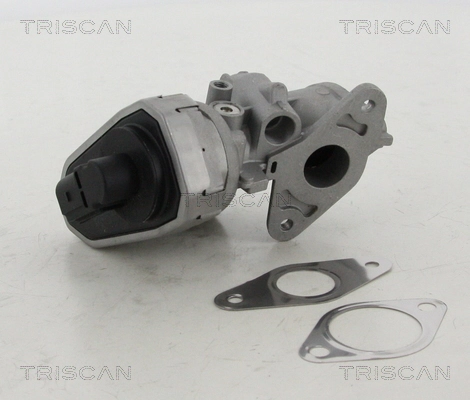 Клапан EGR Triscan 881310002 ціна, від 87.45 USD