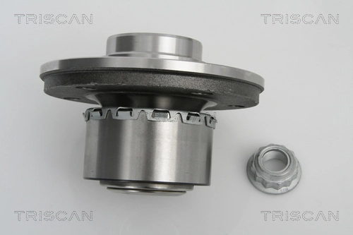 853029011 Triscan Маточина (передня)
