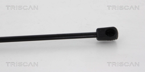 Амортизатор двері задньої Triscan 871042240 ціна, від 10.58 USD