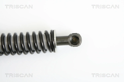 Амортизатор двері задньої Triscan 871029264 ціна, від 25.37 USD