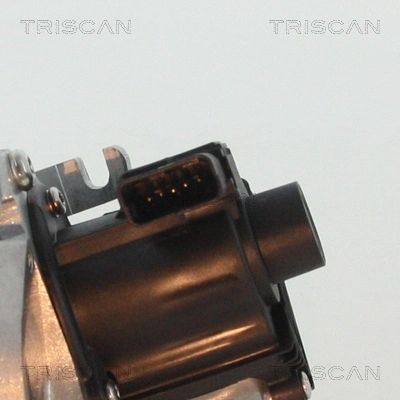 881310007 Triscan Клапан рециркуляції відпрацьованих газів EGR
