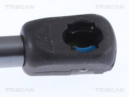 Амортизатор двері задньої Triscan 8710292062 ціна, від 7.16 USD