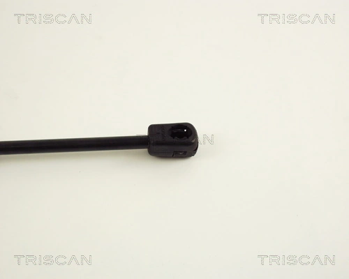 Амортизатор двері задньої Triscan 871029231 ціна, від 7.22 USD