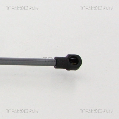 Амортизатор двері задньої Triscan 871038248 ціна, від 13.48 USD