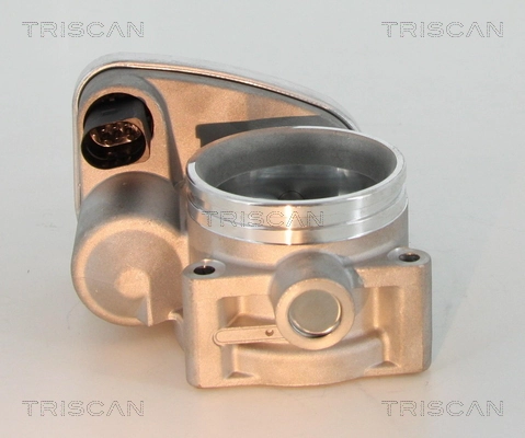 TB0060 Magneti Marelli Дросільна заслінка в зборі